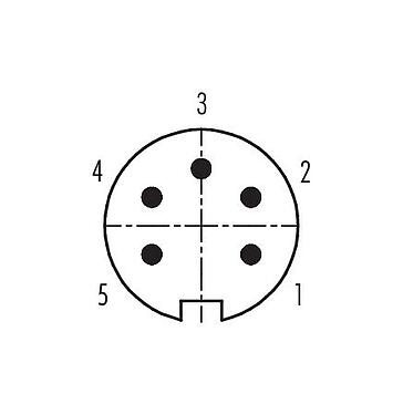 Disposizione dei contatti (lato connessione) 99 0613 00 05 - Baionetta Connettore  cavo maschio, Numero poli: 5, 3,0-6,0 mm, non schermato, saldare, IP40