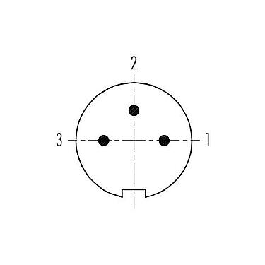 Polbild (Steckseite) 99 4905 00 03 - Push Pull Kabelstecker, Polzahl: 3, 3,5-5,0 mm, schirmbar, löten, IP67
