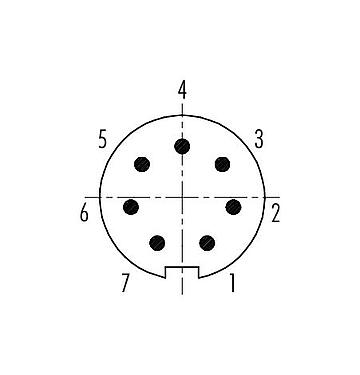 Disposition des contacts (Côté plug-in) 99 4925 00 07 - Push Pull Connecteur mâle, Contacts: 7, 3,5-5,0 mm, blindable, souder, IP67