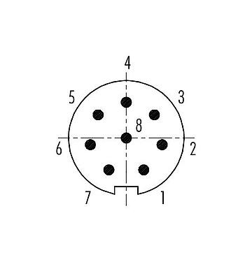 Расположение контактов (со стороны подключения) 99 4929 00 08 - Вставной-вытяжной Кабельный штекер, Количество полюсов: 8, 3,5-5,0 мм, экранируемый, пайка, IP67