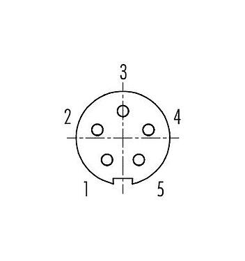 Polbild (Steckseite) 99 0996 100 05 - Bajonett Kabeldose, Polzahl: 5, 3,0-4,0 mm, ungeschirmt, löten, IP40