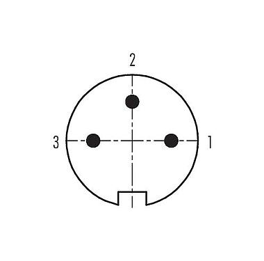 Contactconfiguratie (aansluitzijde) 99 4805 00 03 - Push Pull Kabelstekker, aantal polen: 3, 4,0-8,0 mm, schermbaar, soldeer, IP67