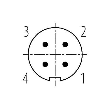 Polbild (Steckseite) 99 0079 100 04 - M9 Kabelstecker, Polzahl: 4, 3,0-4,0 mm, ungeschirmt, löten, IP40
