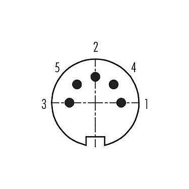 Расположение контактов (со стороны подключения) 99 2017 09 05 - M16 Кабельный штекер, Количество полюсов: 5 (05-b), 4,0-6,0 мм, экранируемый, пайка, IP40