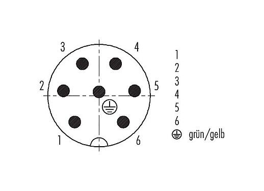 Polbild (Steckseite) 99 0217 160 07 - RD24 Kabelstecker, Polzahl: 6+PE, 12,0-14,0 mm, ungeschirmt, schraubklemm, IP67, PG 16