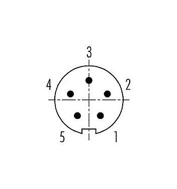 Disposición de los contactos (lado de la conexión) 99 0995 102 05 - Bayoneta Conector de cable macho, Número de contactos: 5, 4,0-5,0 mm, sin blindaje, soldadura, IP40