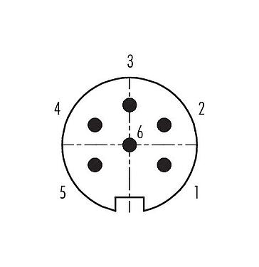 Contactconfiguratie (aansluitzijde) 99 4817 00 06 - Push Pull Kabelstekker, aantal polen: 6, 4,0-8,0 mm, schermbaar, soldeer, IP67