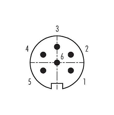 Disposición de los contactos (lado de la conexión) 99 5121 15 06 - M16 Conector de cable macho, Número de contactos: 6 (06-a), 4,0-6,0 mm, blindable, soldadura, IP67, UL