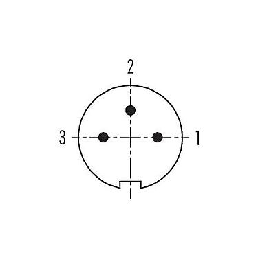 Расположение контактов (со стороны подключения) 99 0405 00 03 - M9 Кабельный штекер, Количество полюсов: 3, 3,5-5,0 мм, не экранированный, пайка, IP67