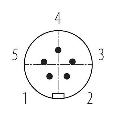 联系安排 (外掛程式側) Snap-in 快插 直头针头电缆连接器, 极数: 5, 4.0-6.0mm, 非屏蔽, 焊接, IP67, UL 2238, VDE
