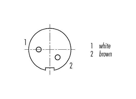 Contact arrangement (Plug-in side) 79 1402 72 02 - M9 Female angled connector, Contacts: 2, shielded, moulded on the cable, IP67, PUR, black, 5 x 0.25 mm², 2 m