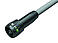 Bayonet NCC