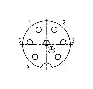 联系安排 (外掛程式側) 99 4202 215 07 - RD24 弯角孔头电缆连接器, 极数: 6+PE, 10.0-12.0mm, 非屏蔽, 压接（压接触点必须单独订购）, IP67, UL, ESTI+, VDE, PG 13.5