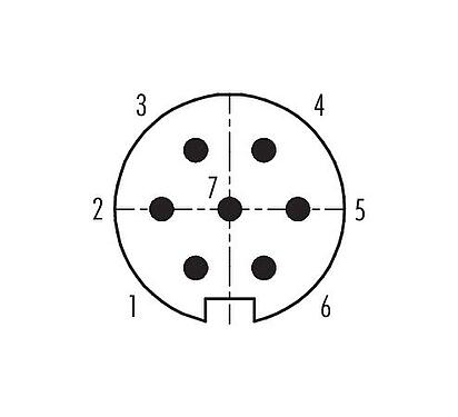 Contact arrangement (Plug-in side) Push Pull Male panel mount connector, Contacts: 7, unshielded, solder, IP67, M21x1,0, Front mounting
