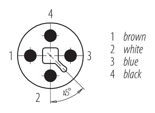 Contact arrangement (Plug-in side) 76 4339 0015 00044-0200 - M12 Male panel mount connector, Contacts: 4, unshielded, single wires, IP68, UL 2238, M16x1.5