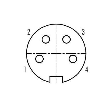 Contact arrangement (Plug-in side) Push Pull Female panel mount connector, Contacts: 4, unshielded, solder, IP40, M21x1,0, Front mounting