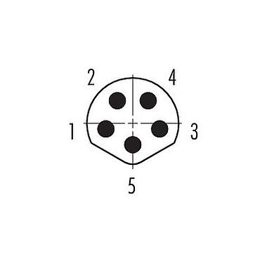 联系安排 (外掛程式側) 86 6319 1120 00005 - M8 针头法兰座, 极数: 5, 可接屏蔽, THT, IP67, UL, 後壁安裝