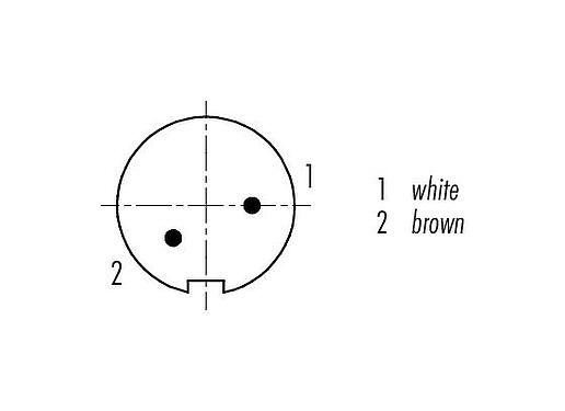 联系安排 (外掛程式側) M9 直头针头电缆连接器, 极数: 2, 屏蔽, 预铸电缆, IP67, PUR, 黑色, 5x0.25mm², 5m