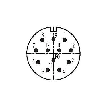 联系安排 (外掛程式側) M23 针头方型法兰座, 极数: 12, 非屏蔽, 焊接, IP67, M2 (4x), 後壁安裝