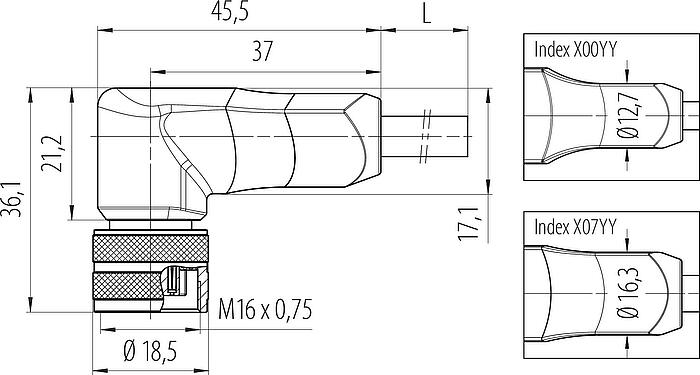 Scale drawing M16 Female angled connector, Contacts: 12, unshielded, moulded on the cable, IP67, PUR, black, 12 x 0.25 mm², 2 m