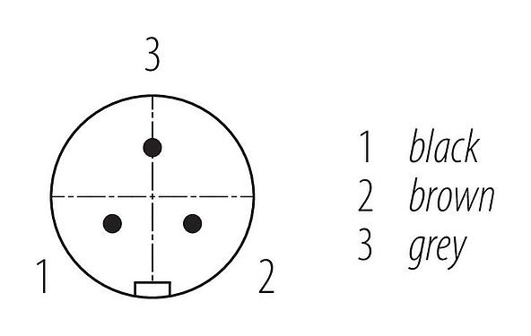 Contact arrangement (Plug-in side) Snap-In Male cable connector, Contacts: 3, unshielded, moulded on the cable, IP67, VDE, PUR, black, 3 x 0.75 mm², 2 m