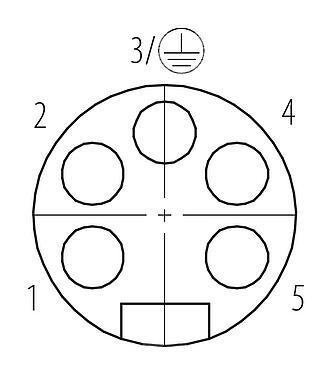 联系安排 (外掛程式側) 7/8" 直头孔头电缆连接器, 极数: 4+PE, 6.0-8.0mm, 非屏蔽, 螺钉接线, IP67, UL 2238, VDE