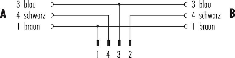 Pin assignment plans M8 Male cable splitter - 2 female cable connectors, Contacts: 4/3, unshielded, moulded on the cable, IP67, UL 2238, PUR, black, 3 x 0.34 mm², 0.6 m