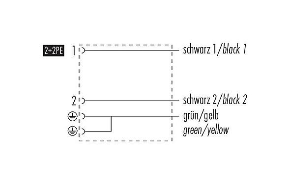 Pin assignment plans 31 5234 300 000 - Female solenoid valve connector, Contacts: 2+2PE, unshielded, moulded on the cable, IP67, PUR, black, 3 m