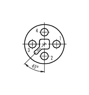 联系安排 (外掛程式側) 99 1632 812 04 - M12 直头孔头电缆连接器, 极数: 4, 8.0-9.0mm, 可接屏蔽, 螺钉接线, IP67, UL