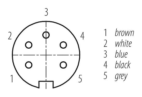 Contact arrangement (Plug-in side) 77 6430 0000 50005-0200 - M16 Female cable connector, Contacts: 5, unshielded, moulded on the cable, IP68, PUR, black, 5 x 0.34 mm², 2 m