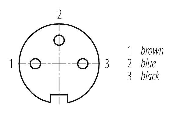 Contact arrangement (Plug-in side) 77 6434 0000 50003-0200 - M16 Female angled connector, Contacts: 3, unshielded, moulded on the cable, IP68, PUR, black, 3 x 0.34 mm², 2 m
