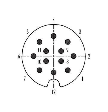 Contact arrangement (Plug-in side) Bayonet Male panel mount connector, Contacts: 12, unshielded, solder, IP40, Front mounting