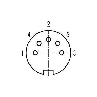 Contact arrangement (Plug-in side) 99 2018 00 05 - M16 Female cable connector, Contacts: 5 (05-b), 4.0-6.0 mm, shieldable, solder, IP40