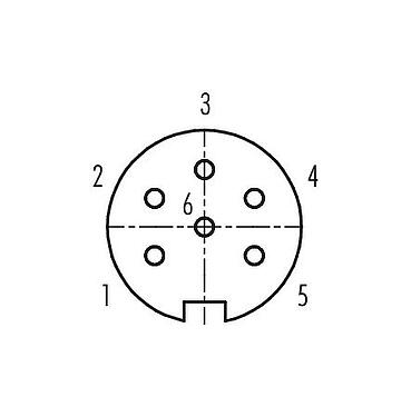 联系安排 (外掛程式側) 99 2022 02 06 - M16 直头孔头电缆连接器, 极数: 6 (06-a), 6.0-8.0mm, 可接屏蔽, 焊接, IP40