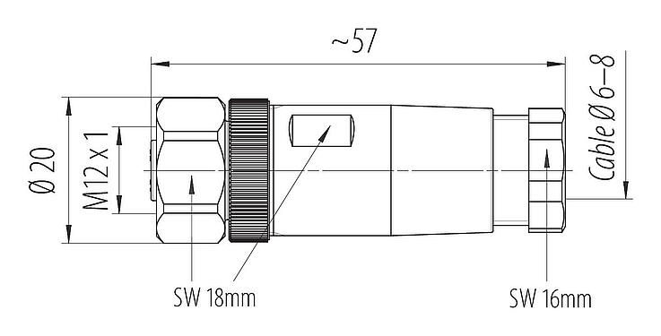 比例图 99 0630 80 04 - M12 直头孔头电缆连接器, 极数: 4, 8.0-10.0mm, 非屏蔽, 螺钉接线, IP67, 不锈钢