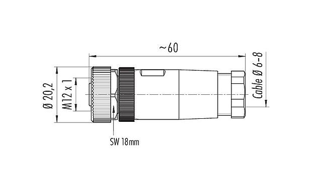 比例图 M12 直头孔头电缆连接器, 极数: 2+PE, 6.0-8.0mm, 非屏蔽, 螺钉接线, IP67, UL 2238