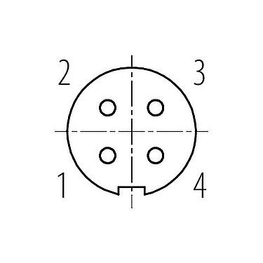 联系安排 (外掛程式側) 09 0082 00 04 - M9 孔头法兰座, 极数: 4, 非屏蔽, 焊接, IP40