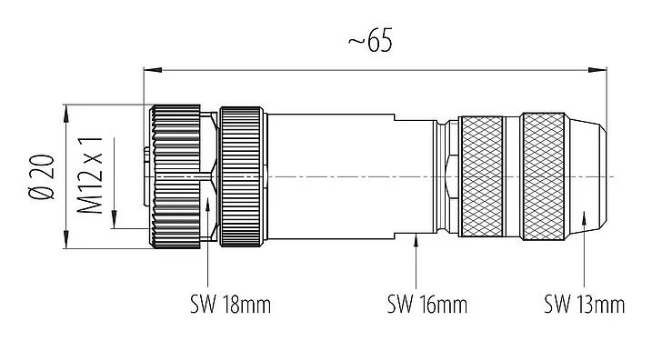 比例图 99 3728 810 04 - M12 直头孔头电缆连接器, 极数: 4, 5.0-8.0mm, 可接屏蔽, 螺钉接线, IP67, UL 2238