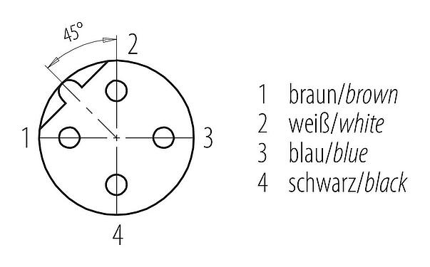 Contact arrangement (Plug-in side) M12 Female panel mount connector, Contacts: 4, unshielded, single wires, IP68, UL 2238, PG 9, Front mounting