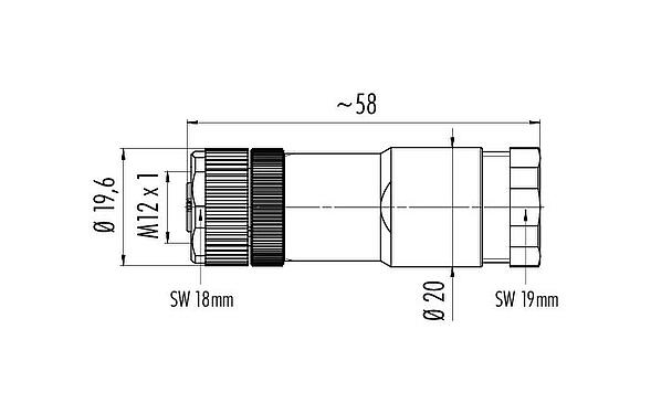Scale drawing M12 Female cable duo connector, Contacts: 4, 2.1-3.0 mm (2 cable) or 4-5 mm (2 cable), unshielded, screw clamp, IP67, UL 2238