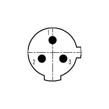 Расположение контактов (со стороны подключения) 99 2430 14 03 - 1/2 UNF Кабельная розетка, Количество полюсов: 2+PE, 4,0-6,0 мм, не экранированный, винтовая клемма, IP67, UL