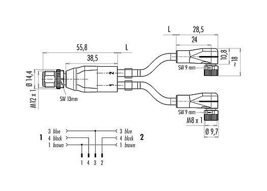 Scale drawing M12/M8 Male cable splitter - 2 female angled connector, Contacts: 4/3, unshielded, moulded on the cable, IP67, UL 2238, PUR, black, 3 x 0.34 mm², with LED PNP, 1 m
