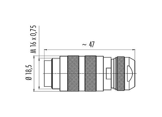 比例图 99 5125 60 07 - M16 直头针头电缆连接器, 极数: 7 (07-a), 4.1-7.8mm, 可接屏蔽, 焊接, IP68, UL, 短文