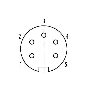 联系安排 (外掛程式側) 09 4816 25 05 - Push Pull 孔头法兰座, 极数: 5, 非屏蔽, 焊接, IP40
