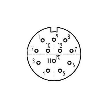 联系安排 (外掛程式側) M23 直头孔头电缆连接器, 极数: 12, 6.0-10.0mm, 非屏蔽, 焊接, IP67