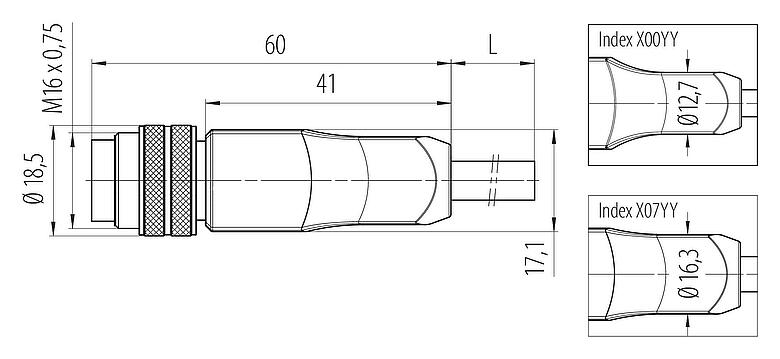 Scale drawing 77 6429 0000 50712-0200 - M16 Male cable connector, Contacts: 12, unshielded, moulded on the cable, IP68, PUR, black, 12 x 0.25 mm², 2 m