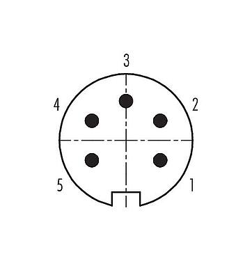 联系安排 (外掛程式側) 09 4815 25 05 - Push Pull 针头法兰座, 极数: 5, 非屏蔽, 焊接, IP40