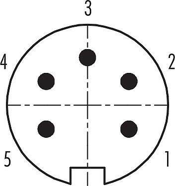 联系安排 (外掛程式側) Push Pull 针头法兰座, 极数: 5, 非屏蔽, 焊接, IP40, M21x1,0, 板前安装