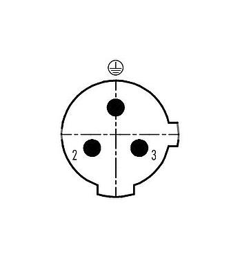 Contact arrangement (Plug-in side) 99 2529 14 03 - M12 Male cable connector, Contacts: 2+PE, 4.0-6.0 mm, unshielded, screw clamp, IP67