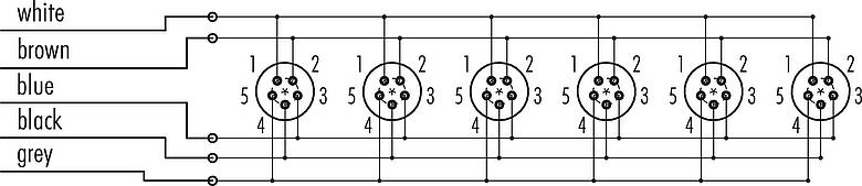 Pin assignment plans Snap-In 6-way distributor, Contacts: 5, unshielded, moulded on the cable, IP67, 5 x 0.75 mm²
